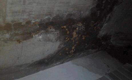 墻面滲水有什么辦法修復？屋頂防水施工的時候這些要留意