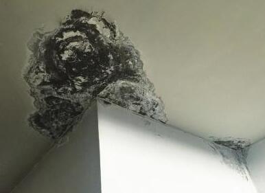 屋面漏水是由什么原因造成的？地震對于防水層的影響大么？