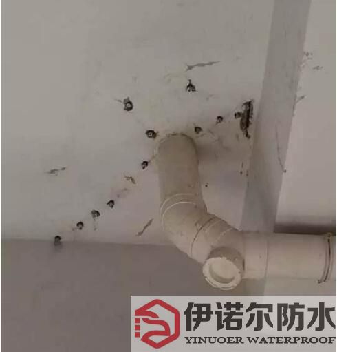 常熟蘇州防水工程的基本內(nèi)容是什么？